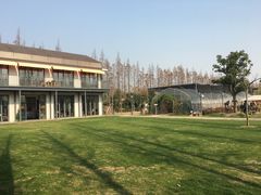 -前小桔亲子创意农场·草莓采摘·露营烧烤