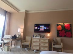 -拉斯维加斯永利酒店