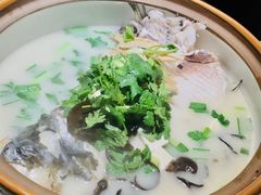 姜君千岛湖鱼头-姜君·千岛湖鱼头馆(浦东大道店)