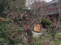 iphone_upload_pic-李白纪念馆