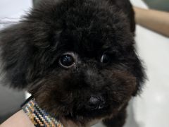 -派特宠物医院(圆融广场店)