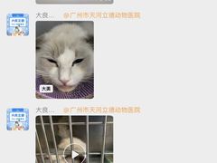 -立德动物医院·重症转诊·24H夜诊·CT·心脏彩超(顺德中心分院)