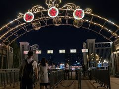 -武汉知音号