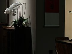 -九月里.自由花园餐厅