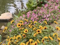 -人民公园(罗湖区)