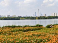 -海珠湖公园