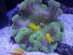 -成都浩海立方海洋公园