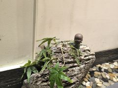-有茶空间(万科金色半山店)