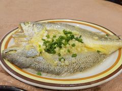 姜汁蒸黄花鱼-蒸坊黄鳝饭(骏丰大厦店)