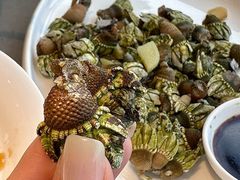 -魚當家