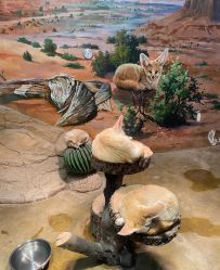 -Zoolung Zoolung动物主题公园(海信广场店)