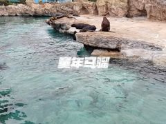 -珠海横琴国家地理探险家中心(创新方)