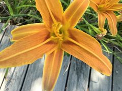 -金牛山大酒店(南北湖风景区店)