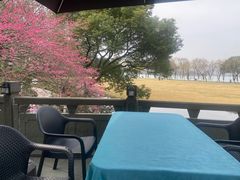 -闻莺馆(柳浪闻莺店)