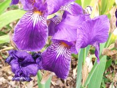 -永定河休闲森林公园