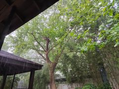 -春晖园度假酒店温泉