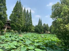 -乌村