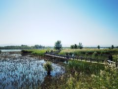 -野鸭湖国家湿地公园