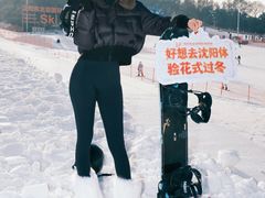 -东北亚滑雪场