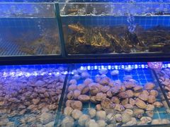 -透明思烤·自助烤肉海鲜火锅(东部星悦天地店)
