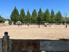 -北京群众马术培训基地