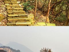 -杭州半山国家森林公园