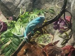 -成都浩海立方海洋公园