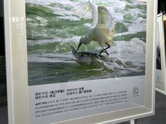 -中国宋庆龄青少年科技文化交流中心