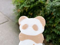 -成都大熊猫繁育研究基地