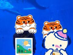 -华夏文旅海洋公园