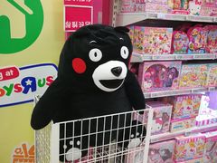 店内环境-TOYSRUS玩具反斗城(深圳万象城店)