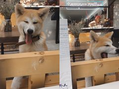 -叁秋咖啡 SANQIU COFFEE(天津河北路店)