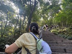 -紫金山山顶公园