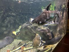 -太平洋海底世界