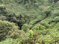 -海口火山口国家地质公园
