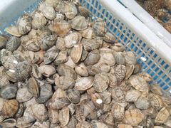 -和源祥·日照菜扛把子(万平口一店)