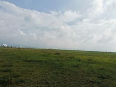 -敕勒川草原