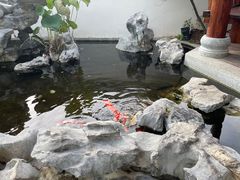 -道南書院·私房菜·早午茶·茶馆