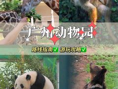 -广州动物园