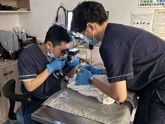 -宠物星动物医院·眼科·异宠·猫科(江南大道总院)