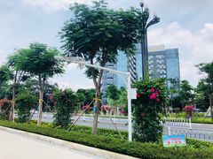 -广西大学(大学东路校区)