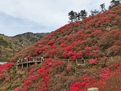 -木兰云雾山