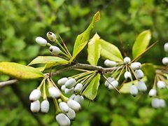 -昆明市金殿名胜区