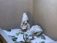 -灸春堂·专业艾灸·连锁品牌(丰潭路店)