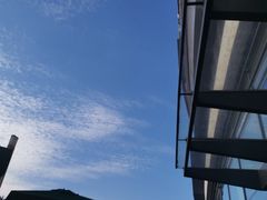 -星巴克(七宝领展广场1F店)