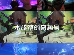 -华夏文旅西安度假区