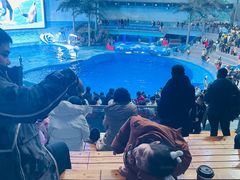 -海合安成都极地海洋公园