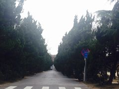 -八大关景区