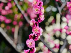 -静安雕塑公园