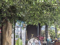 -野菌皇海景野生菌火锅(滨海大道店)
